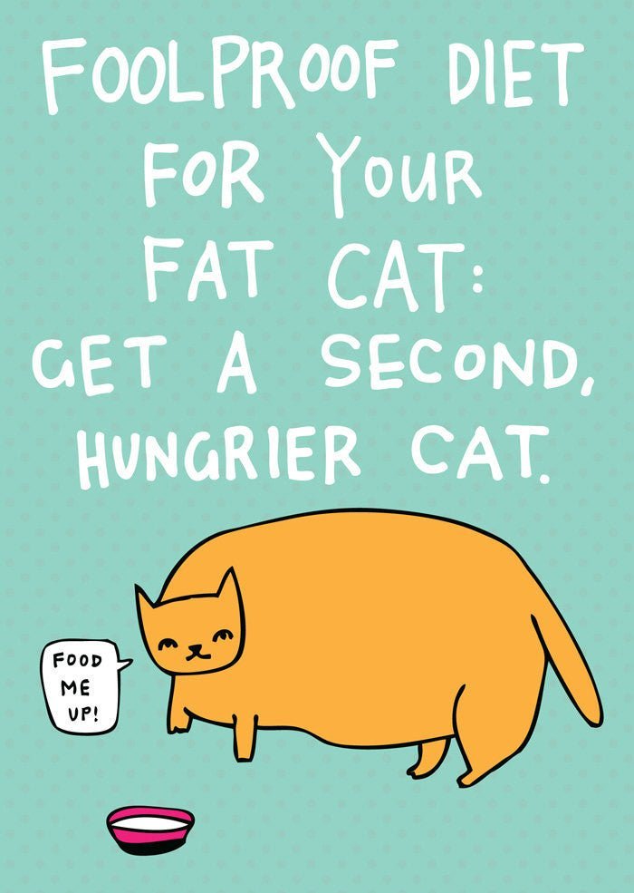 Able and Game Foolproof diet for your fat cat Get a second hungrier