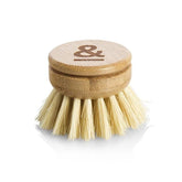 Seed and Sprout CoSeed & Sprout Dish Brush Replacement Head #same day gift delivery melbourne#